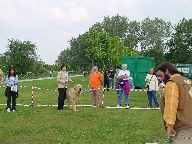 Immagine 021.jpg